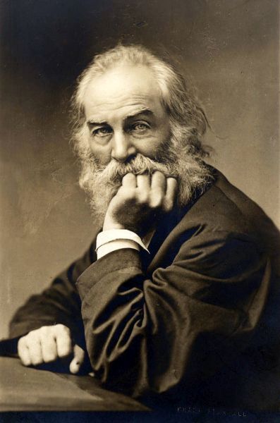 A black and white photograph of Walt Whitman, the renowned American poet, from his later years. He is seated, looking directly at the camera with an intense gaze, resting his chin on his fist, and is characterized by his long, flowing white hair and bushy beard.