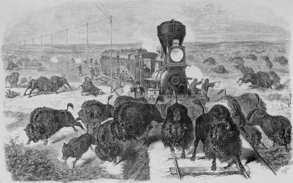 A black and white photograph shows a large group of Indigenous people on horseback gathered in a wide, grassy field. They are wearing traditional regalia, including feathered headdresses, and are lined up facing the camera with rolling hills in the background.