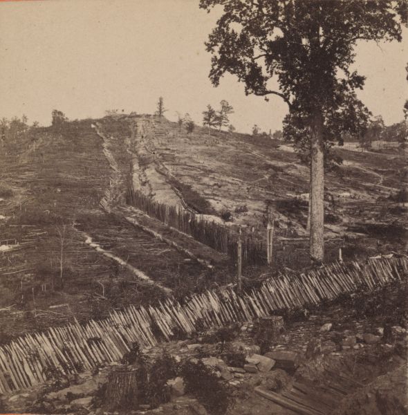 A sepia-toned photograph shows a steep, largely deforested hillside crisscrossed with long, wooden picket-style fences. The landscape is scattered with tree stumps and debris, showing the significant environmental impact and alteration of the land during the period.