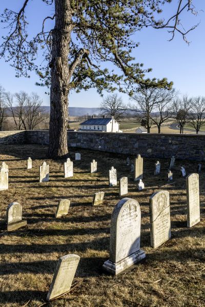A small, historic cemetery features weathered white marble headstones casting long shadows across the dry grass under a clear blue sky. A tall pine tree stands within the stone-walled enclosure, overlooking a white farmhouse and rolling hills in the distant countryside.