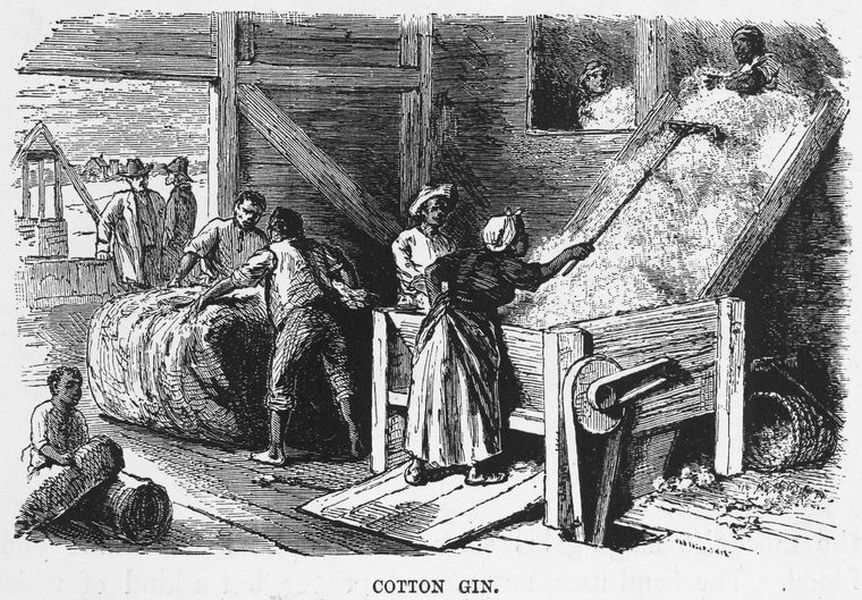 A 19th-century wood engraving depicts an interior scene of cotton processing with several enslaved Black figures engaged in various tasks. In the center, a woman feeds cotton into a machine while several men wrestle a massive, cylindrical cotton bale nearby, and a figure in the upper right prepares cotton for the chute.