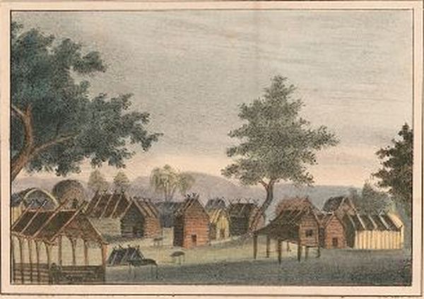 A colored lithograph shows a Seminole village with a group of small wooden buildings, some with elevated floors. The village is surrounded by trees and set against a backdrop of a gray sky and hills in the distance.