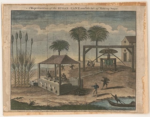 Color illustration of a 17th-century Virginia tobacco plantation. Enslaved Africans work in open-air shelters preparing tobacco leaves and operating equipment. A large house stands in the background surrounded by palm trees, and small animals roam the foreground.